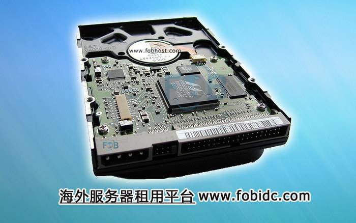 通过高效服务器支持，乌干达金融科技迎来发展新机遇
