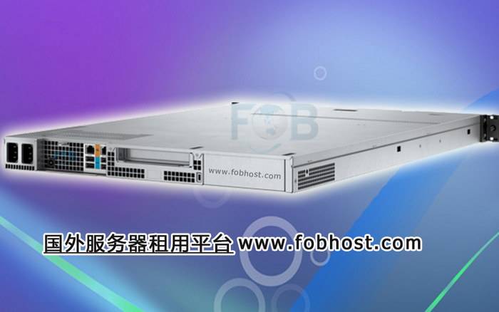 优化跨国数据传输，选择立陶宛服务器的优势分析